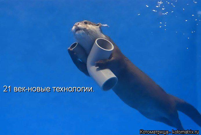 Котоматрица: 21 век-новые технологии.