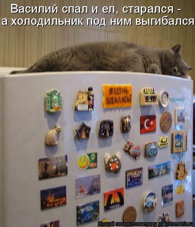 Василий спал и ел, старался - а холодильник под ним выгибался... Котоматрица: Василий спал и ел, старался - а холодильник под ним выгибался