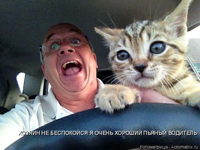 Котоматрица: ХОЗЯИН НЕ БЕСПОКОЙСЯ Я ОЧЕНЬ ХОРОШИЙ ПЬЯНЫЙ ВОДИТЕЛЬ