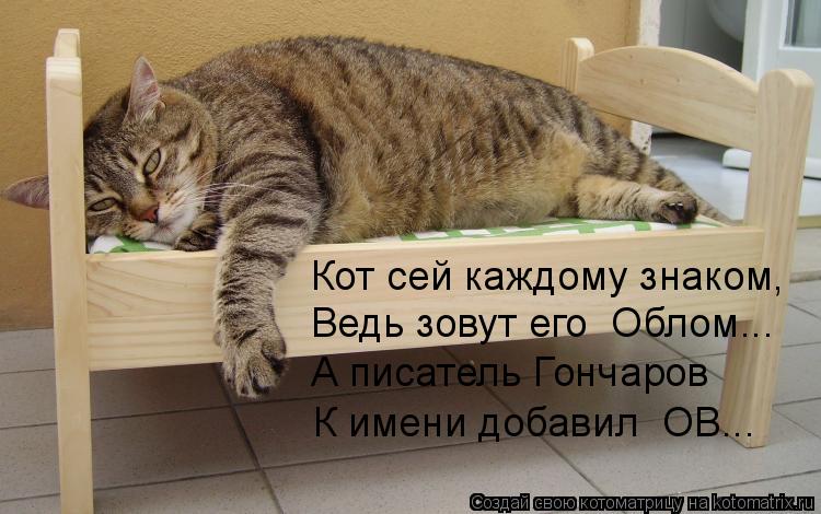 Котоматрица: Кот сей каждому знаком, Ведь зовут его  Облом... А писатель Гончаров К имени добавил  ОВ...
