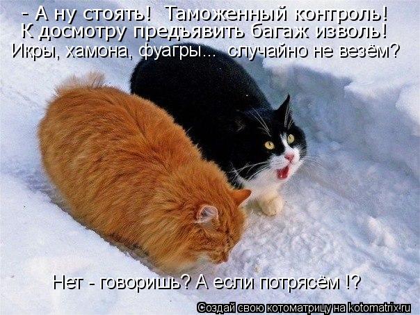 Котоматрица: - А ну стоять!  Таможенный контроль! К досмотру предъявить багаж изволь! Икры, хамона, фуагры...  случайно не везём? Нет - говоришь? А если потря