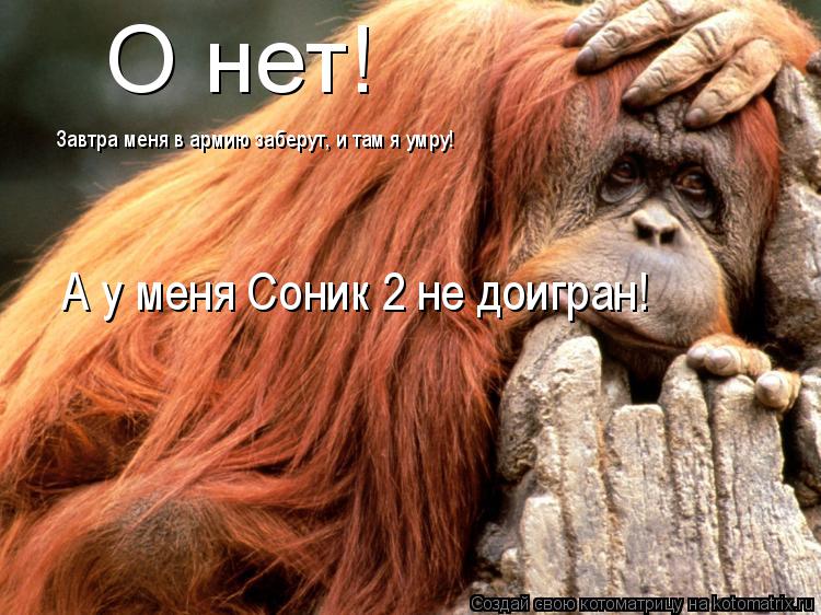 Котоматрица: О нет! Завтра меня в армию заберут, и там я умру! А у меня Соник 2 не доигран!