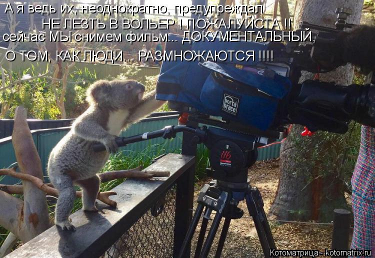 Котоматрица: сейчас МЫ снимем фильм... ДОКУМЕНТАЛЬНЫЙ, А я ведь их, неоднократно, предупреждал   НЕ ЛЕЗТЬ В ВОЛЬЕР ! ПОЖАЛУЙСТА !!  О ТОМ, КАК ЛЮДИ... РАЗМНОЖА