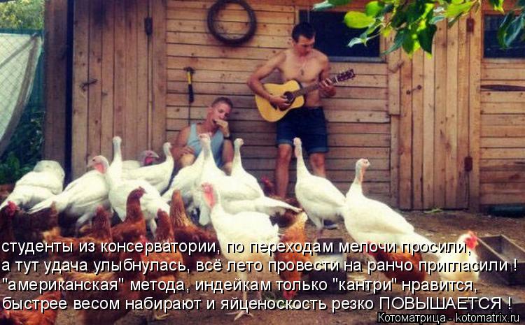 Котоматрица: быстрее весом набирают и яйценоскость резко ПОВЫШАЕТСЯ ! "американская" метода, индейкам только "кантри" нравится, а тут удача улыбнулась, в