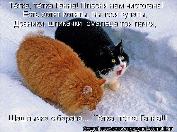 Котоматрица: Тётка, тётка Ганна! Плесни нам чистогана! Есть хотят котяты, вынеси купаты, Драники, шпикачки, смалеца три пачки, Шашлычка с барана...  Тётка, т