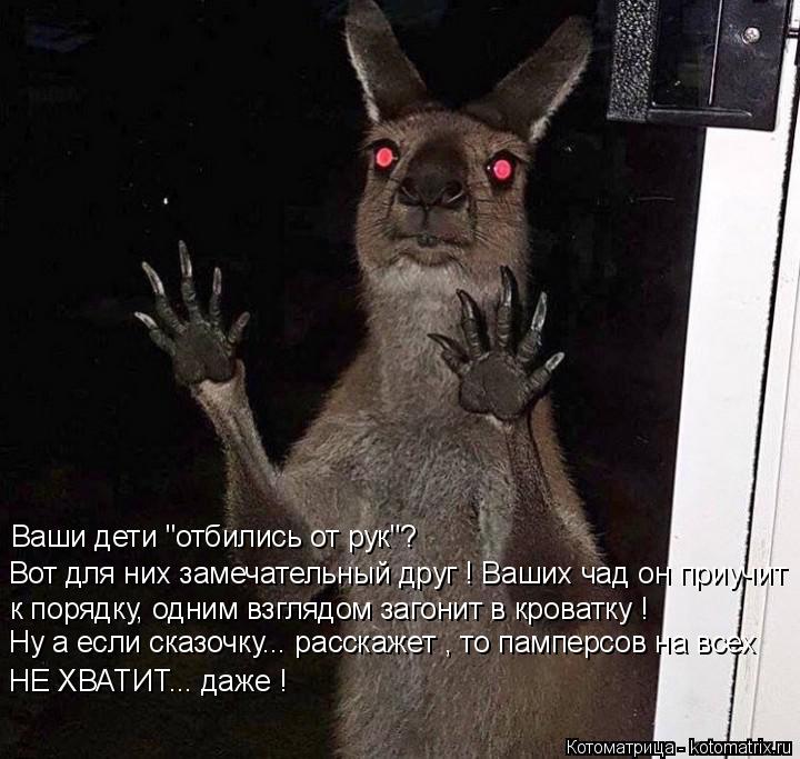 Котоматрица: Ваши дети "отбились от рук"? Вот для них замечательный друг ! Ваших чад он приучит к порядку, одним взглядом загонит в кроватку ! Ну а если ска