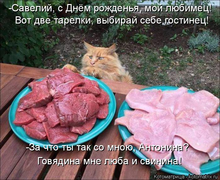 Котоматрица: -Савелий, с Днём рожденья, мой любимец! Вот две тарелки, выбирай себе гостинец! -За что ты так со мною, Антонина? Говядина мне люба и свинина!