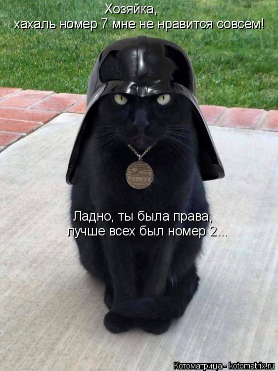 Котоматрица: Хозяйка,  хахаль номер 7 мне не нравится совсем! Ладно, ты была права,  лучше всех был номер 2...