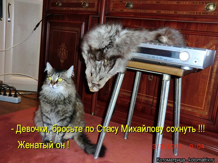 Котоматрица: - Девочки, бросьте по Стасу Михайлову сохнуть !!! Женатый он !