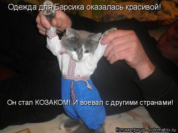 Котоматрица: Одежда для Барсика оказалась красивой! Он стал КОЗАКОМ! И воевал с другими странами!