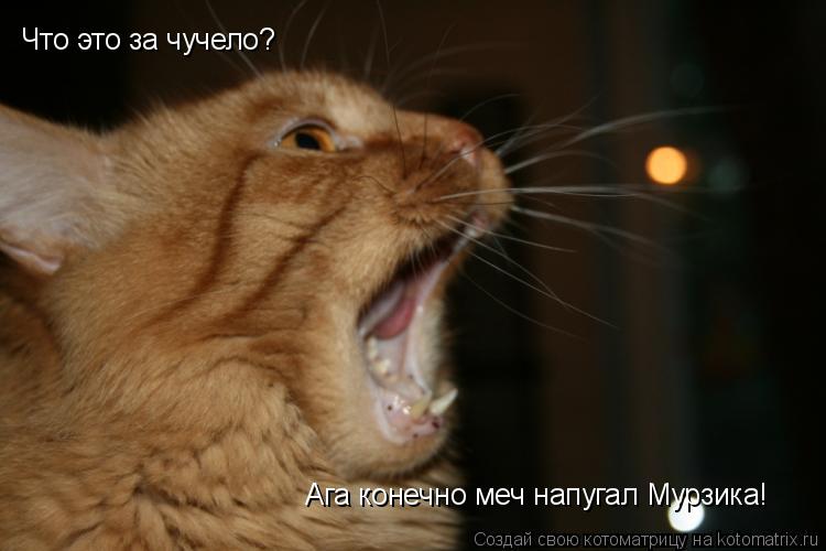 Котоматрица: Что это за чучело? Ага конечно меч напугал Мурзика!