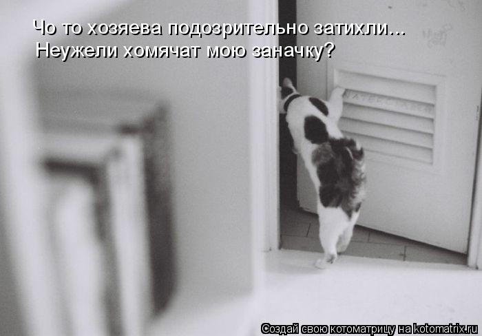 Котоматрица: Чо то хозяева подозрительно затихли... Неужели хомячат мою заначку?