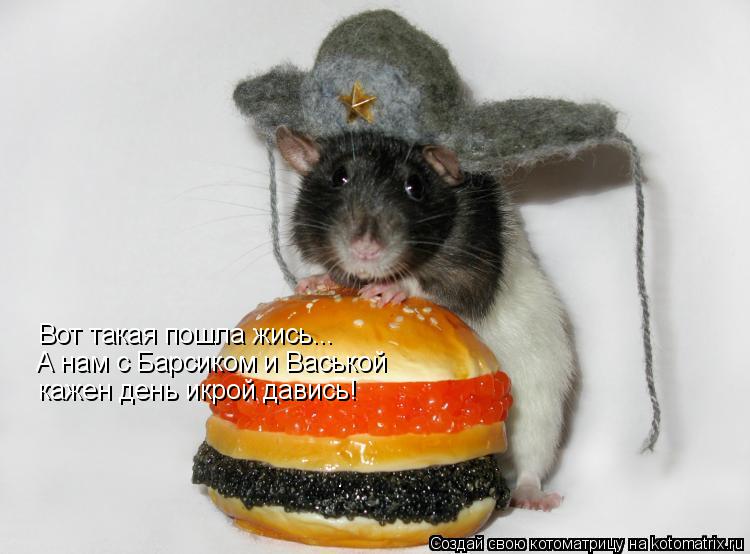 Котоматрица: Вот такая пошла жись... А нам с Барсиком и Васькой кажен день икрой давись!