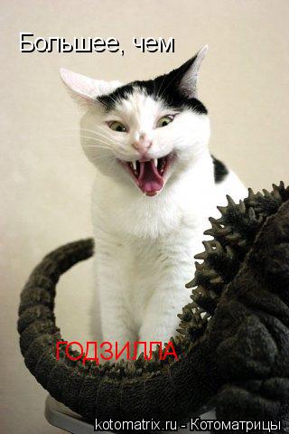 Котоматрица: Большее, чем ГОДЗИЛЛА