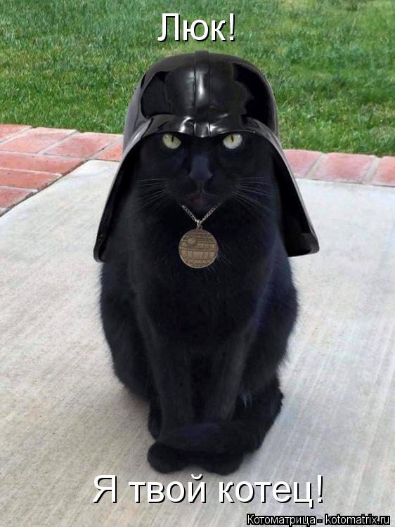 Котоматрица: Люк! Я твой котец!