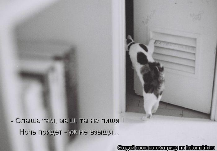 Котоматрица: - Слышь там, мыш, ты не пищи ! Ночь придет - уж не взыщи...