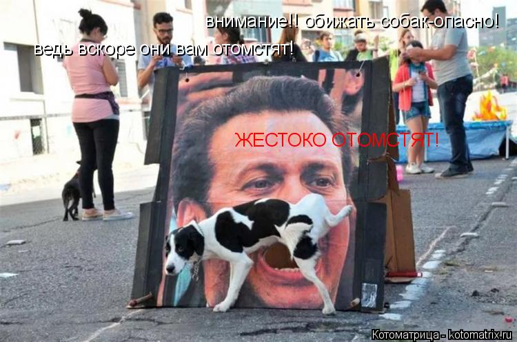 внимание!! обижать собак-опасно! ведь вскоре они вам отомстят! ЖЕСТОКО ОТОМСТЯТ!... Котоматрица: внимание!! обижать собак-опасно! ведь вскоре они вам отомстят! ЖЕСТОКО ОТОМСТЯТ!