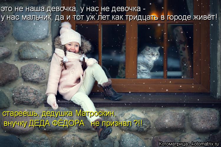 Котоматрица: у нас мальчик, да и тот уж лет как тридцать в городе живёт! это не наша девочка, у нас не девочка -  стареешь, дедушка Матроскин, внучку ДЕДА ФЁ