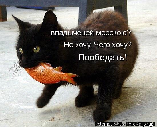 Котоматрица: ... владычецей морскою? Не хочу. Чего хочу? Пообедать!