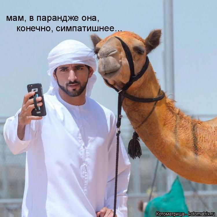 Котоматрица: мам, в парандже она, конечно, симпатишнее...