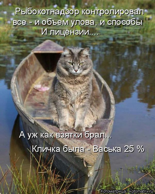 Котоматрица: Рыбокотнадзор контролировал все - и объем улова, и способы И лицензии.... А уж как взятки брал... Кличка была - Васька 25 %