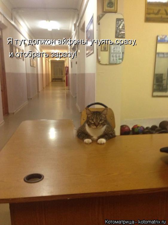 Котоматрица: Я тут должон айфоны учуять сразу,  и отобрать заразу!