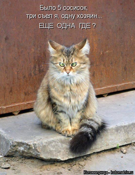 Котоматрица: Было 5 сосисок,  три съел я, одну хозяин... ЕЩЕ  ОДНА  ГДЕ ?