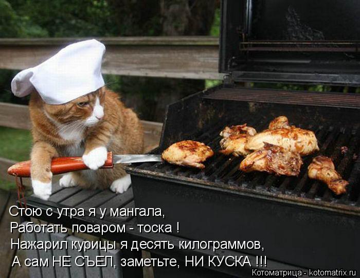 Стою с утра я у мангала, Работать поваром - тоска ! Нажарил курицы я десять килограммов, А сам НЕ СЪЕ... Котоматрица: Стою с утра я у мангала, Работать поваром - тоска ! Нажарил курицы я десять килограммов, А сам НЕ СЪЕЛ, заметьте, НИ КУСКА !!!