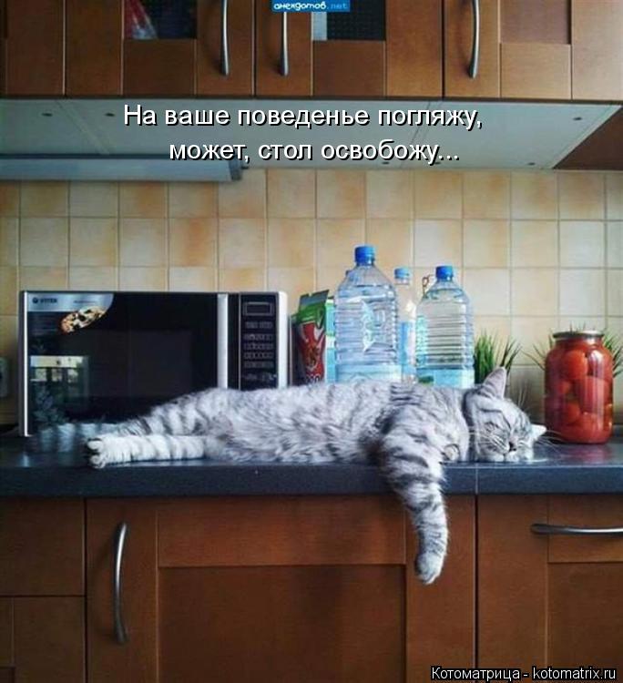 На ваше поведенье погляжу, может, стол освобожу...... Котоматрица: На ваше поведенье погляжу, может, стол освобожу...