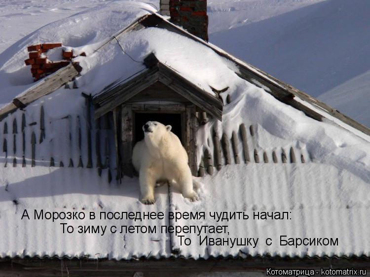 А Морозко в последнее время чудить начал: То зиму с летом перепутает, То Иванушку с Барсиком... Котоматрица: А Морозко в последнее время чудить начал: То зиму с летом перепутает, То Иванушку с Барсиком