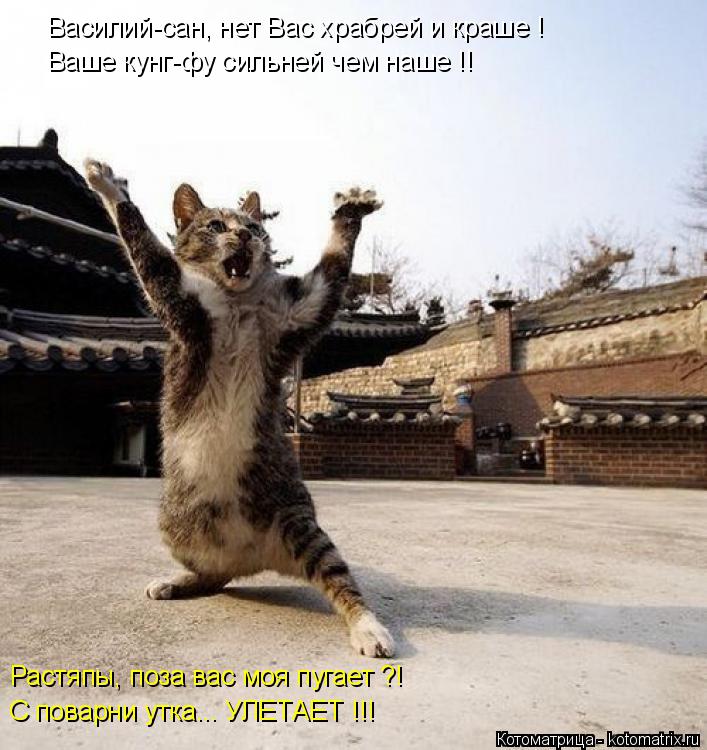 Василий-сан, нет Вас храбрей и краше ! Ваше кунг-фу сильней чем наше !! Растяпы, поза вас моя пугает ... Котоматрица: Василий-сан, нет Вас храбрей и краше ! Ваше кунг-фу сильней чем наше !! Растяпы, поза вас моя пугает ?! С поварни утка... УЛЕТАЕТ !!!