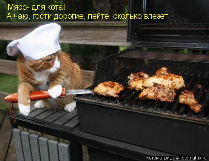 Котоматрица: Мясо- для кота! А чаю, гости дорогие, пейте, сколько влезет!