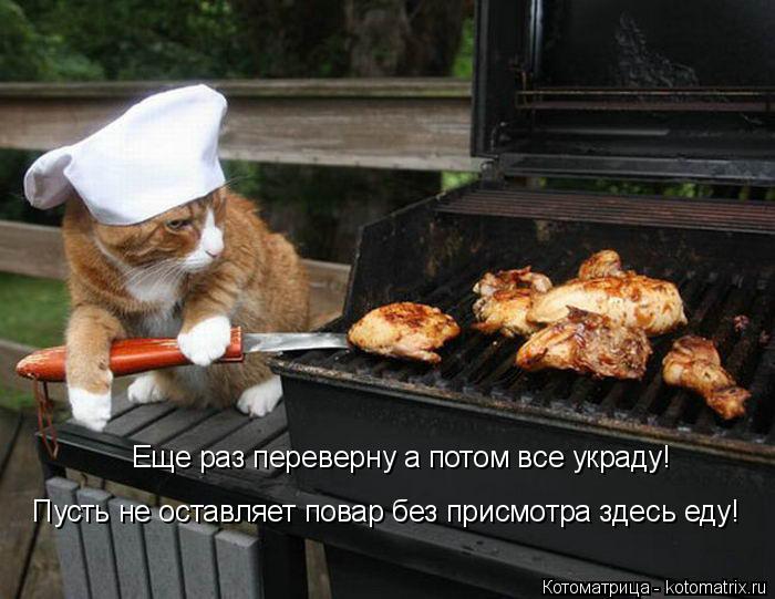 Еще раз переверну а потом все украду! Пусть не оставляет повар без присмотра здесь еду!... Котоматрица: Еще раз переверну а потом все украду! Пусть не оставляет повар без присмотра здесь еду!