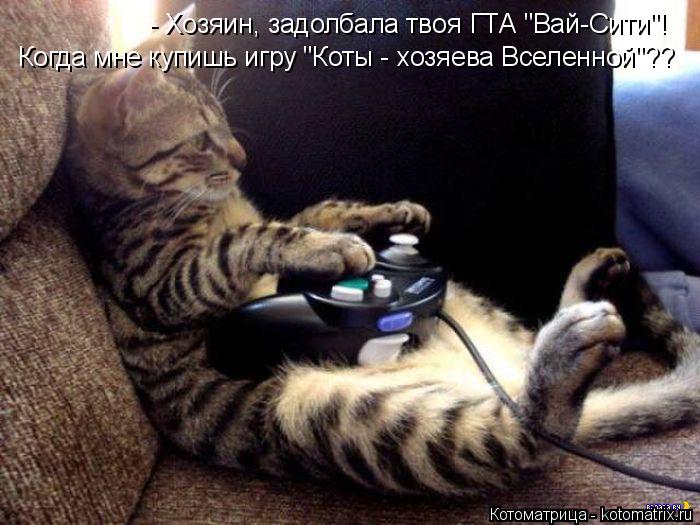 Когда мне купишь игру "Коты - хозяева Вселенной"?? - Хозяин, задолбала твоя ГТА "Вай-Сити"!... Котоматрица: Когда мне купишь игру "Коты - хозяева Вселенной"?? - Хозяин, задолбала твоя ГТА "Вай-Сити"!