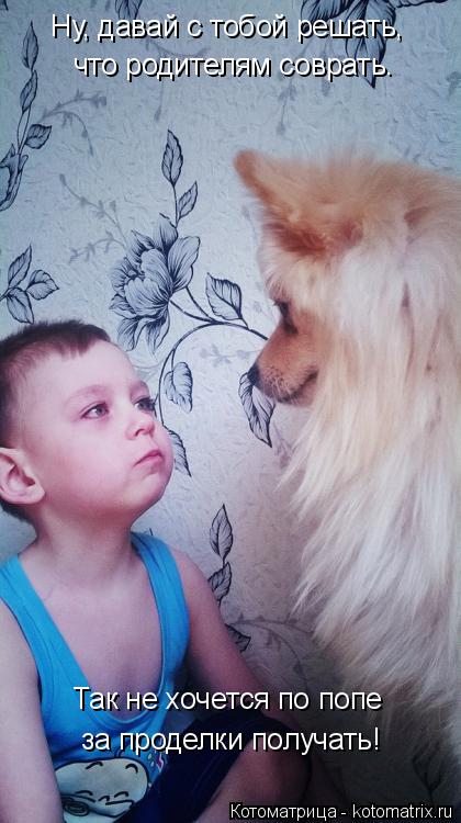 что родителям соврать. Так не хочется по попе за проделки получать! Ну, давай с тобой решать,... Котоматрица: что родителям соврать. Так не хочется по попе за проделки получать! Ну, давай с тобой решать,