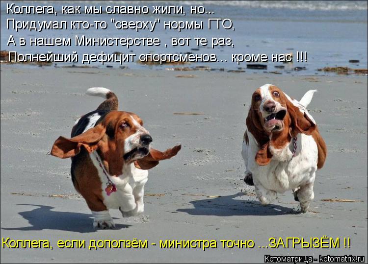 Котоматрица: Коллега, как мы славно жили, но... Придумал кто-то "сверху" нормы ГТО, А в нашем Министерстве , вот те раз, Полнейший дефицит спортсменов... кром