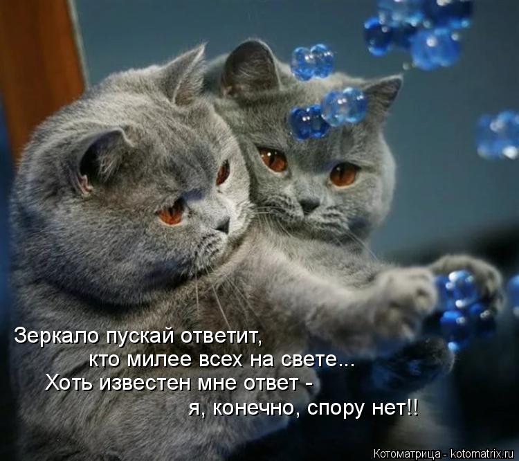 Котоматрица: Зеркало пускай ответит, кто милее всех на свете... Хоть известен мне ответ - я, конечно, спору нет!!