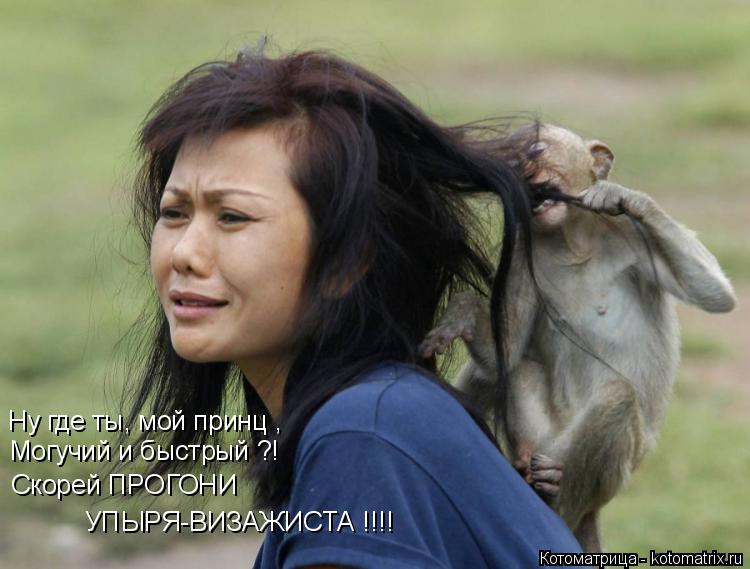 Котоматрица: Могучий и быстрый ?! Ну где ты, мой принц , Скорей ПРОГОНИ УПЫРЯ-ВИЗАЖИСТА !!!!