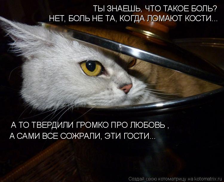 Котоматрица: ТЫ ЗНАЕШЬ, ЧТО ТАКОЕ БОЛЬ? НЕТ, БОЛЬ НЕ ТА, КОГДА ЛОМАЮТ КОСТИ...  А ТО ТВЕРДИЛИ ГРОМКО ПРО ЛЮБОВЬ ,  А САМИ ВСЕ СОЖРАЛИ, ЭТИ ГОСТИ...