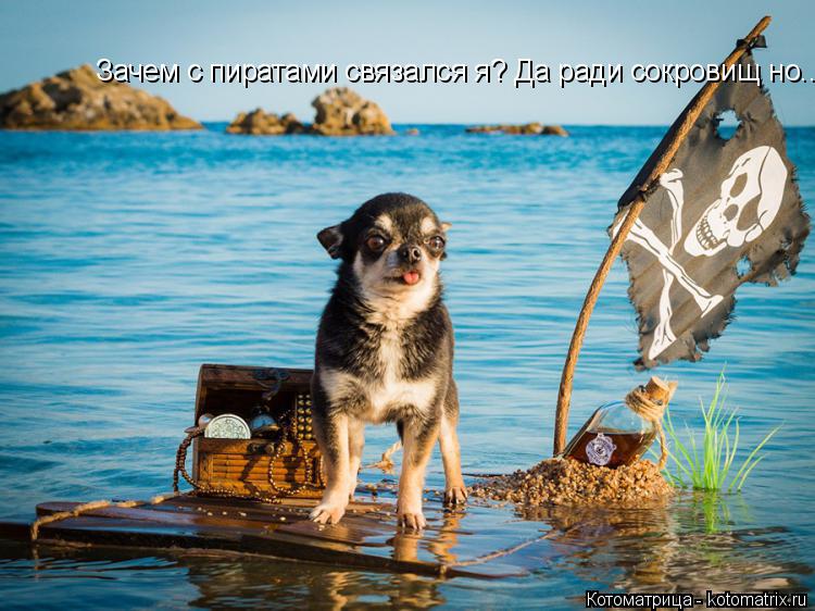 Зачем с пиратами связался я? Да ради сокровищ но... Зачем с пиратами связался я? Да ради сокровищ но.... Котоматрица: Зачем с пиратами связался я? Да ради сокровищ но... Зачем с пиратами связался я? Да ради сокровищ но...