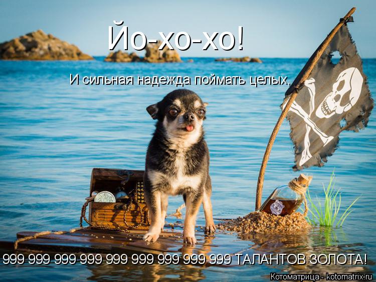 Йо-хо-хо! И сильная надежда поймать целых, 999 999 999 999 999 999 999 999 999 ТАЛАНТОВ ЗОЛОТА!... Котоматрица: Йо-хо-хо! И сильная надежда поймать целых, 999 999 999 999 999 999 999 999 999 ТАЛАНТОВ ЗОЛОТА!