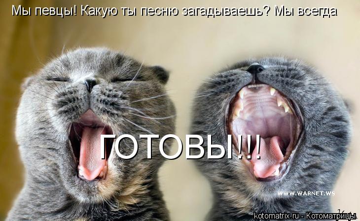 Мы певцы! Какую ты песню загадываешь? Мы всегда ГОТОВЫ!!!... Котоматрица: Мы певцы! Какую ты песню загадываешь? Мы всегда ГОТОВЫ!!!
