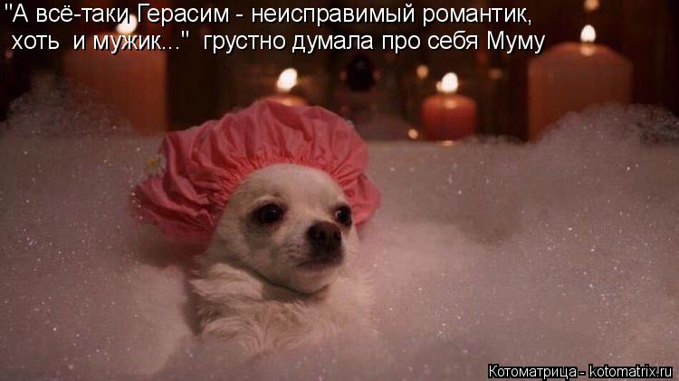 Котоматрица: "А всё-таки Герасим - неисправимый романтик, хоть  и мужик..."  грустно думала про себя Муму