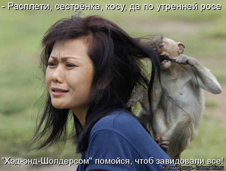 - Расплети, сестрёнка, косу, да по утренней росе "Хэд-энд-Шолдерсом" помойся, чтоб завидовали все!... Котоматрица: - Расплети, сестрёнка, косу, да по утренней росе "Хэд-энд-Шолдерсом" помойся, чтоб завидовали все!