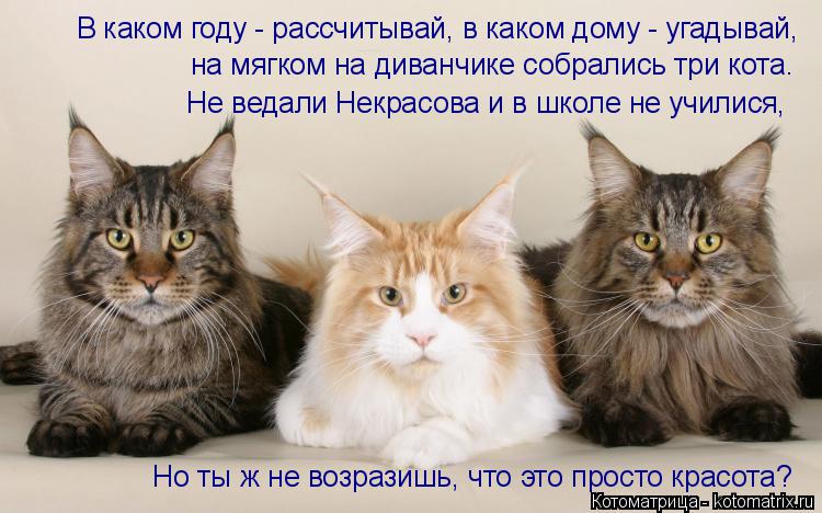 Котоматрица: В каком году - рассчитывай, в каком дому - угадывай,  на мягком на диванчике собрались три кота. Но ты ж не возразишь, что это просто красота? Н
