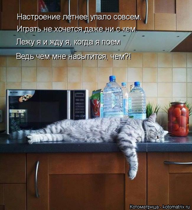 Котоматрица: Настроение летнее упало совсем.  Играть не хочется даже ни с кем. Лежу я и жду я, когда я поем Ведь чем мне насытится, чем?!