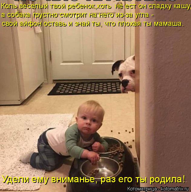 Котоматрица: Коль веселый твой ребенок,хоть  не ест он сладку кашу,  а собака грустно смотрит на него из-за угла - свой айфон оставь и знай ты, что плохая ты