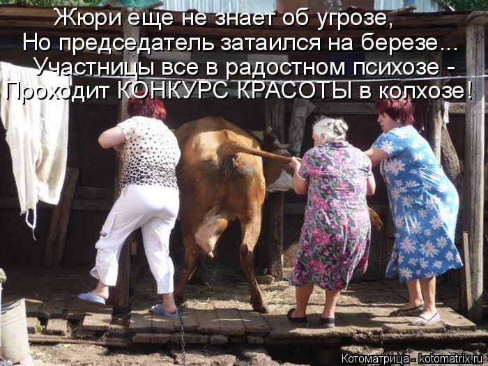 Проходит КОНКУРС КРАСОТЫ в колхозе! Жюри еще не знает об угрозе, Но председатель затаился на березе..... Котоматрица: Проходит КОНКУРС КРАСОТЫ в колхозе! Жюри еще не знает об угрозе, Но председатель затаился на березе... Участницы все в радостном психозе -