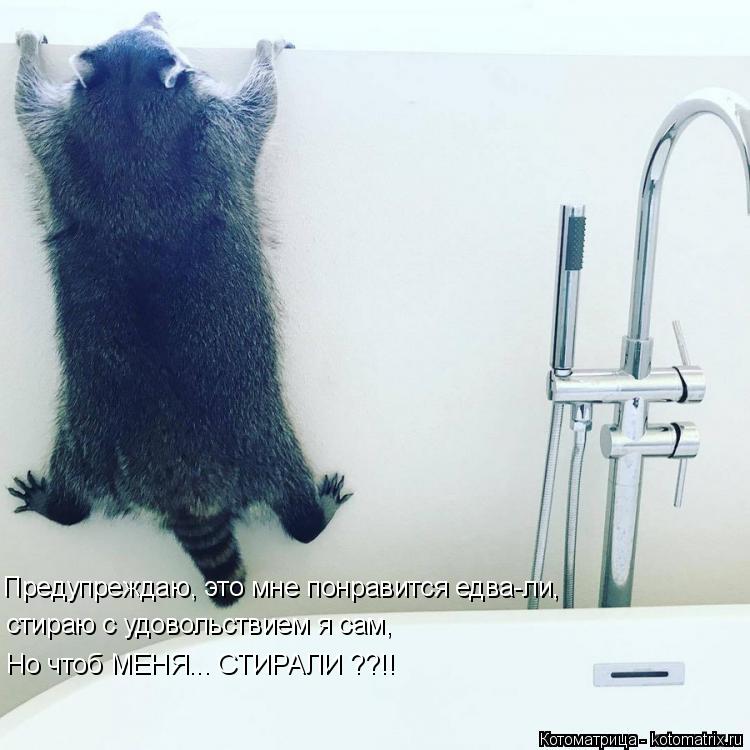 Предупреждаю, это мне понравится едва-ли, стираю с удовольствием я сам, Но чтоб МЕНЯ... СТИРАЛИ ??!!... Котоматрица: Предупреждаю, это мне понравится едва-ли, стираю с удовольствием я сам, Но чтоб МЕНЯ... СТИРАЛИ ??!!