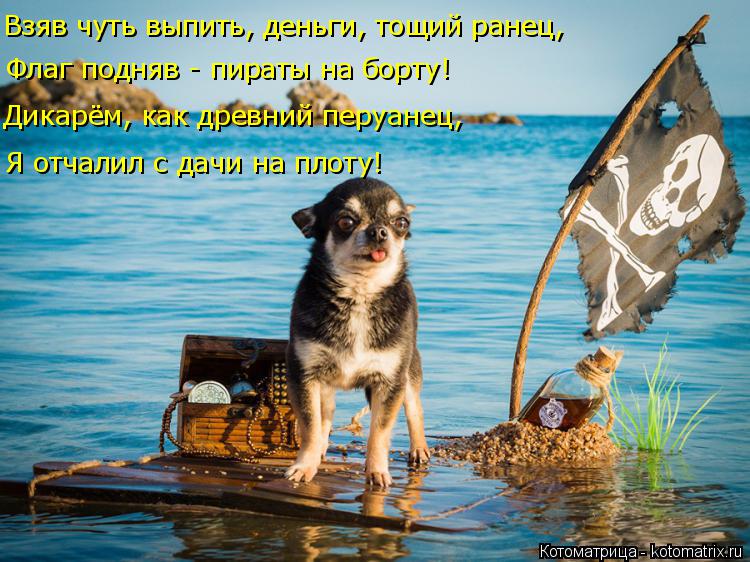 Я отчалил с дачи на плоту! Дикарём, как древний перуанец, Флаг подняв - пираты на борту! Взяв чуть вы... Котоматрица: Я отчалил с дачи на плоту! Дикарём, как древний перуанец, Флаг подняв - пираты на борту! Взяв чуть выпить, деньги, тощий ранец,